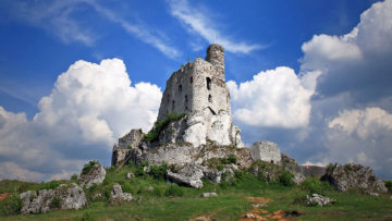 Wyróżnienie w konkursie fotograficznym „Woda w Mieście” (w ramach Marszu Śląskiej Przyrody)