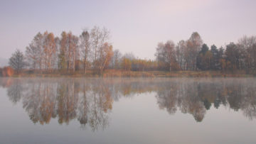 Spokojnych i zdrowych Świąt Bożego Narodzenia