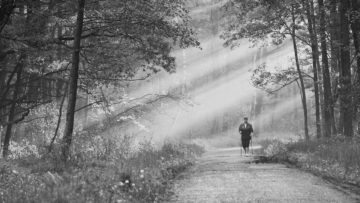 Nowe zdjęcie – „Monitoring”