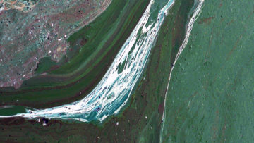 Nowe zdjęcia – z cyklu „Impresje paprocańskie”