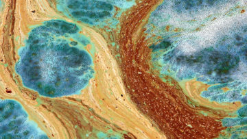 Nowe zdjęcia – z cyklu „Impresje paprocańskie”