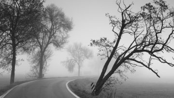 „Takie jest życie, taki jest świat”