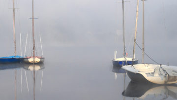 „WSP HUNGARY 2025”