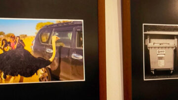 Wyróżnienie w konkursie fotograficznym GRAINWAVE