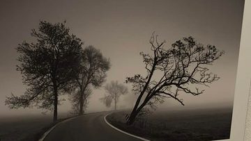 Nagroda i wyróżnienie honorowe w konkursie fotograficznym Captured